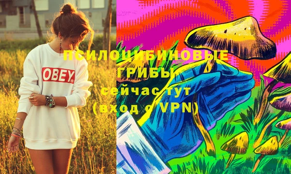 каннабис Богородск