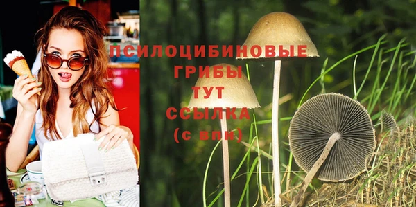 мяу мяу кристалл Богородицк
