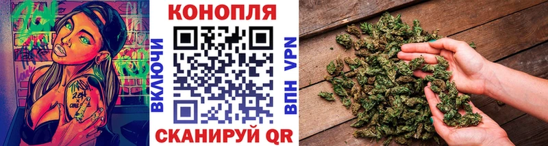 Бошки марихуана конопля  Борисоглебск 